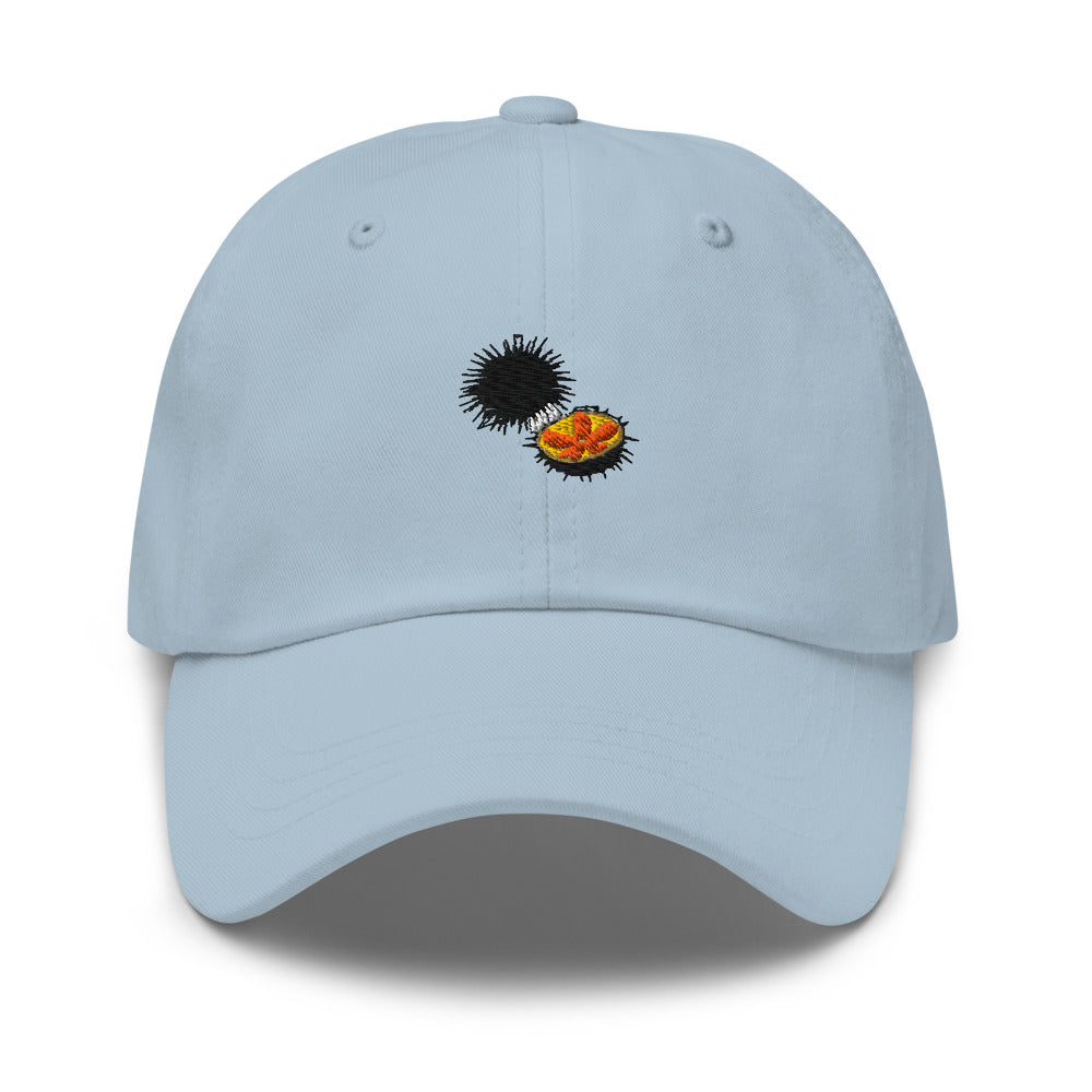 Sea Urchin Hat