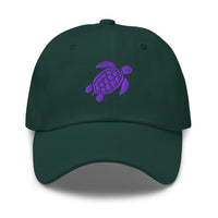 Turtle Hat