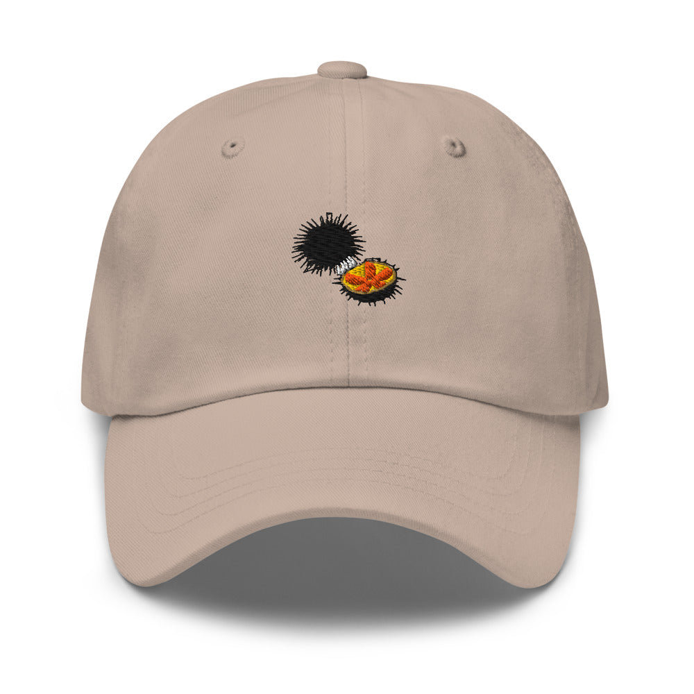 Sea Urchin Hat