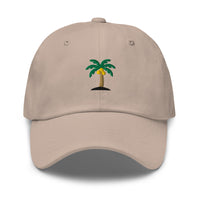 Palm Hat